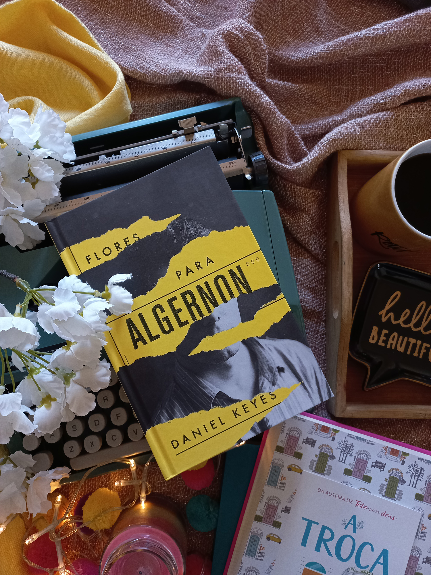 foto para resenha de flores para algernon